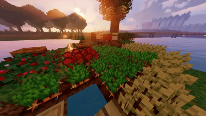 Animated glint highlights fully grown crops