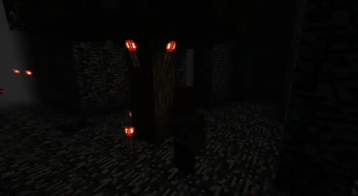 Dark forest scene with glowing red torches