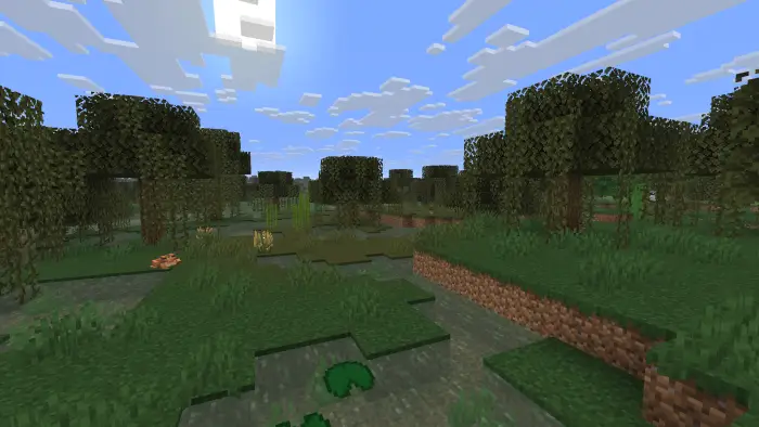 Swampy rainforest with water and trees
