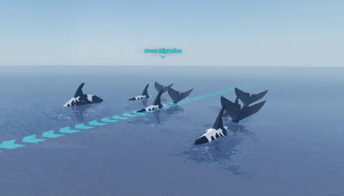 Pod of orcas migrating across the ocean.