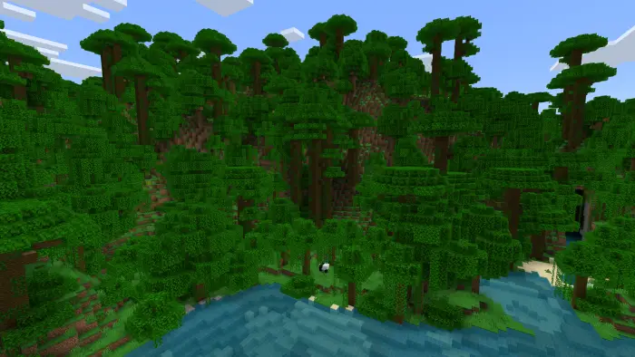 Dense rainforest with river and lush greenery