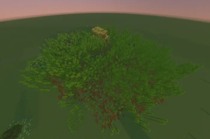 Dense bamboo forest with a central structure