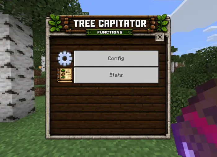 Addon menu with config and stats options.
