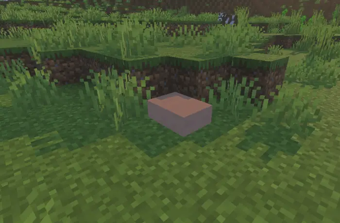 Mysterious creature resting on grass block