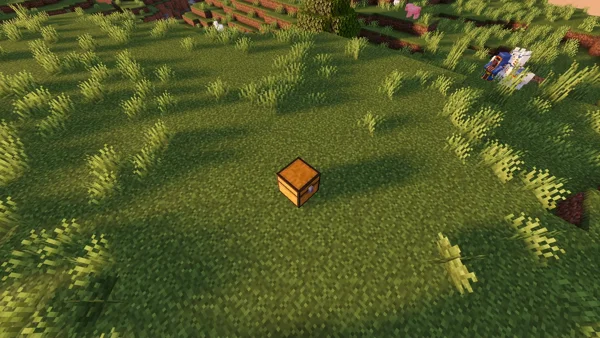 Box-shaped item on grassy field