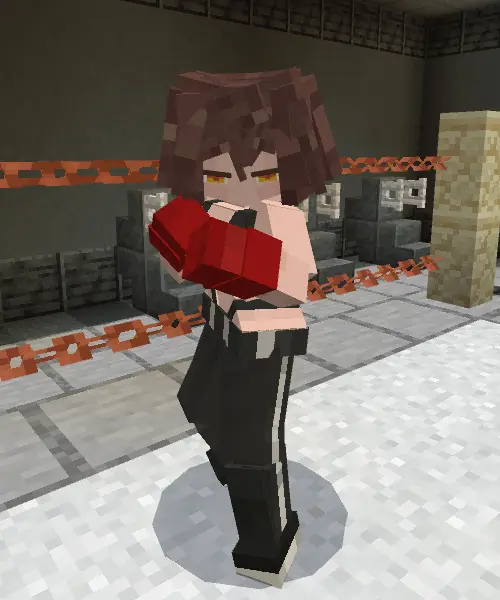 Boxing companion character in a ring
