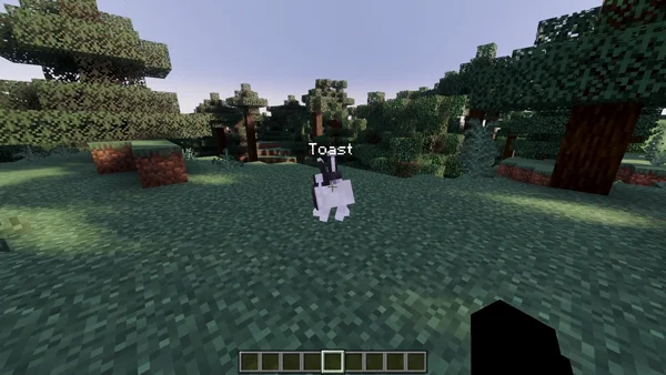 White rabbit named Toast in a forest clearing