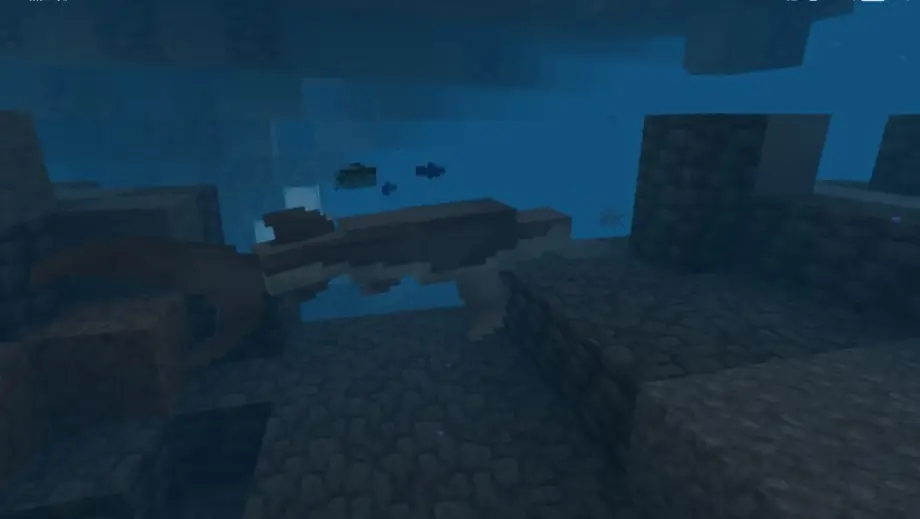 Thumbnail: Sixgill Shark