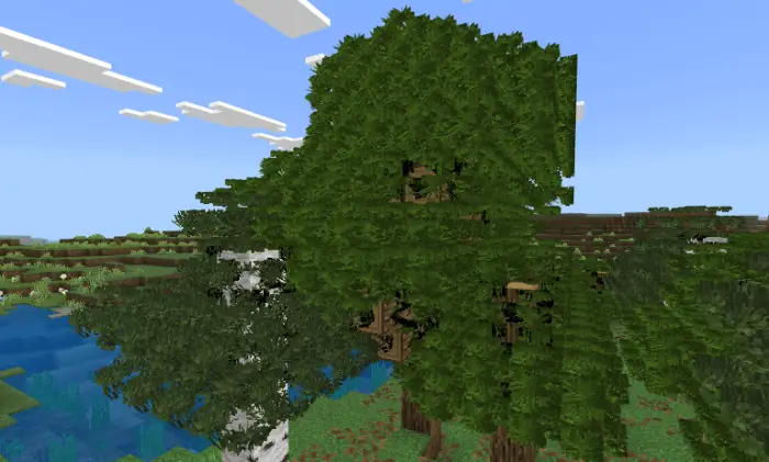 Bushy, dense tree leaves near a river