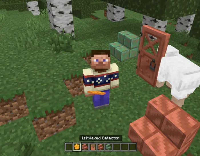 Player holding IsItWaxed Detector near blocks