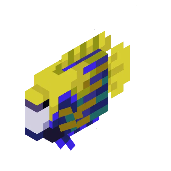 Blocky yellow and blue angelfish swimming