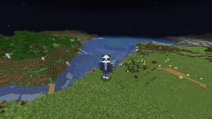 Blocky panda character stands on bright hilltop