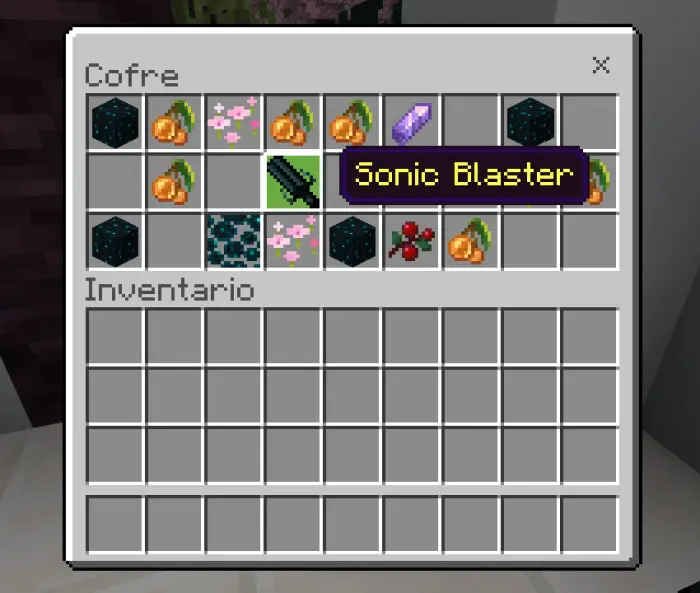 Chest with unique items and Sonic Blaster