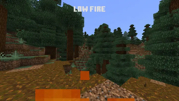 Low fire overlay in a forest landscape