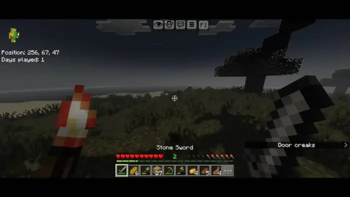 First-person view holding sword and torch at night