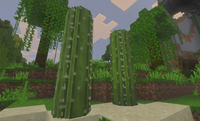 Smooth, rounded cacti in blocky landscape