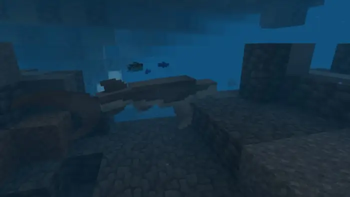 Blocky sixgill shark swims in deep ocean