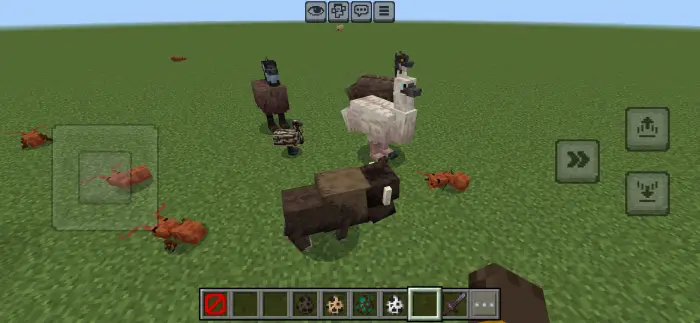 New custom animals added by Alexs Mobs mod