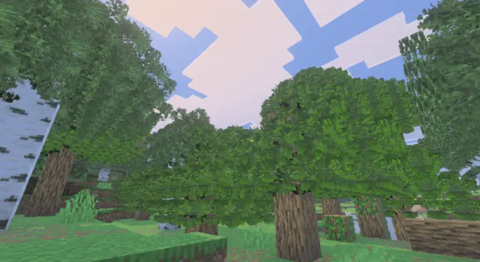 Bushy, dense leaf textures on trees