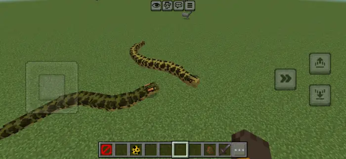 Two large snakes on grassy terrain
