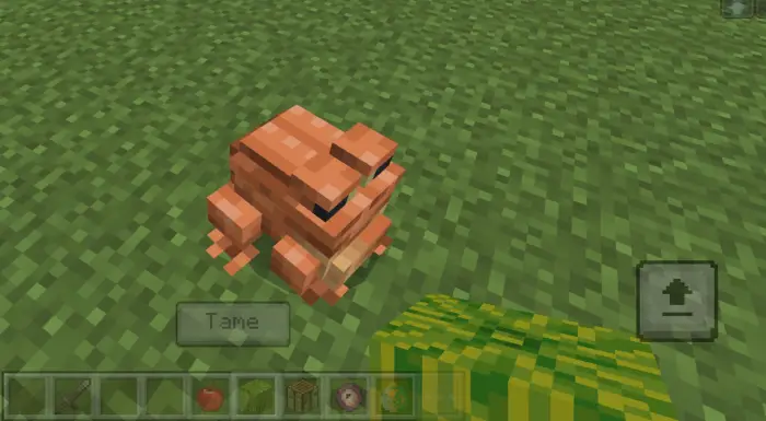 Blocky orange frog with Tame option shown
