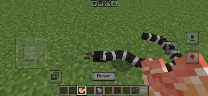 Black and white snake on grassy terrain