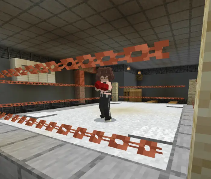 Boxing companion NPC inside a ring.