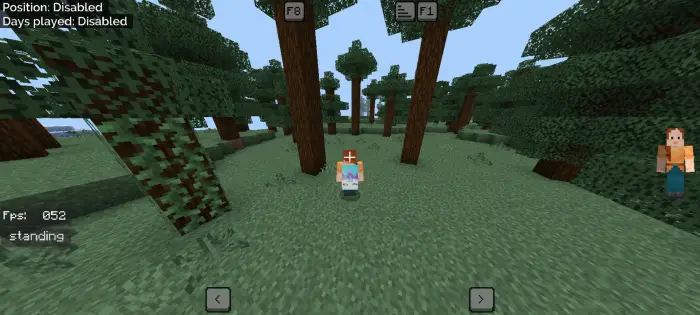 Third-person view with custom HUD overlay