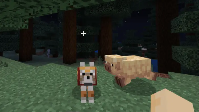 Wolf wearing armor beside a pig at night