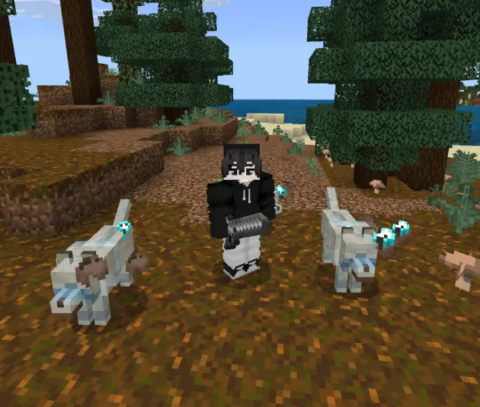 Player with two custom wolf companions.