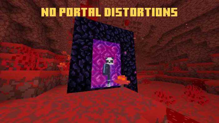 ALT Nether portal with no visual distortions