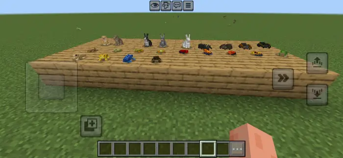 Miniature animal models displayed on a platform