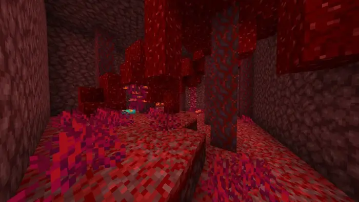 Red fungus biome with glowing plants