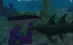 Two new shark mobs swimming underwater