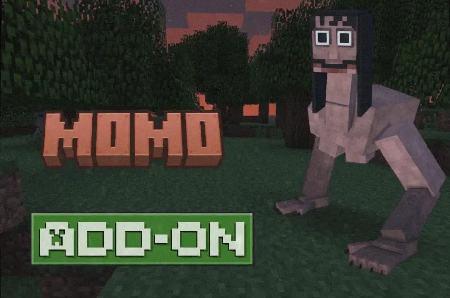 Thumbnail: MOMO ADD-ON