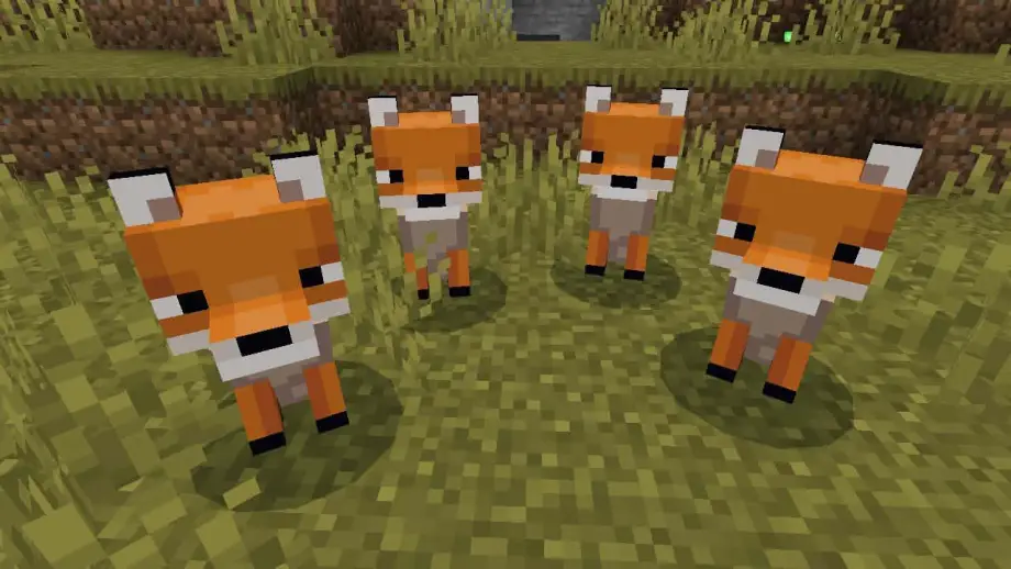 Thumbnail: Better Foxes