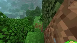 Lush, realistic forest with blocky textures