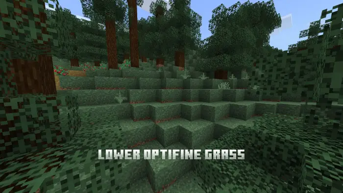 Low optifine grass on forest hillside