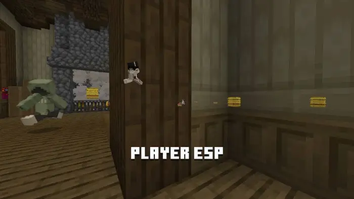 Player and chests highlighted through walls