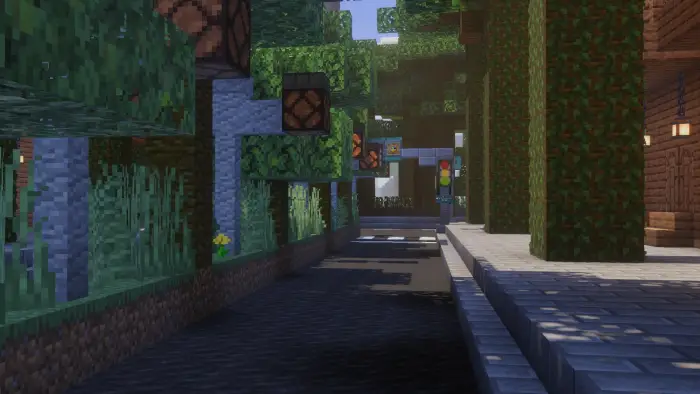 Tree-lined street with sidewalk and shadows
