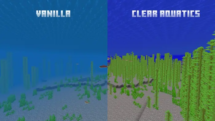 Left foggy water, Right clear underwater view
