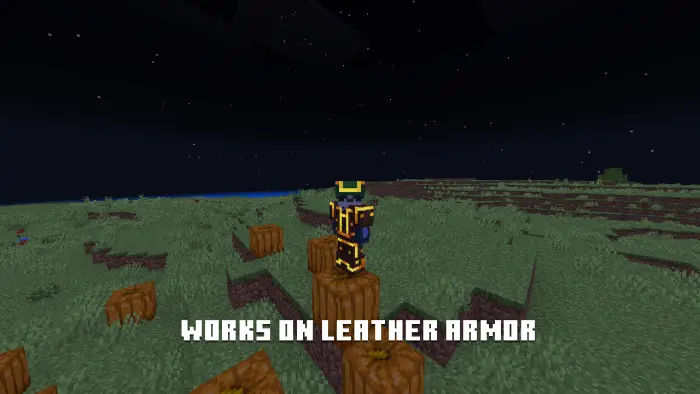 Player wearing glowing trimmed leather armor