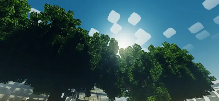 Sunlight shining through detailed blocky trees