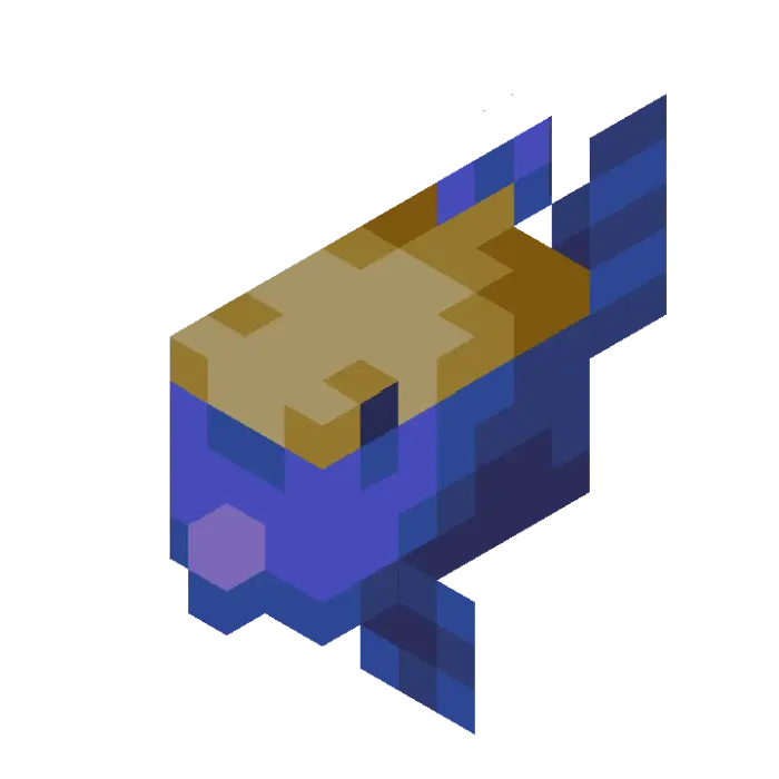 Blocky blue and tan boxfish mob swimming