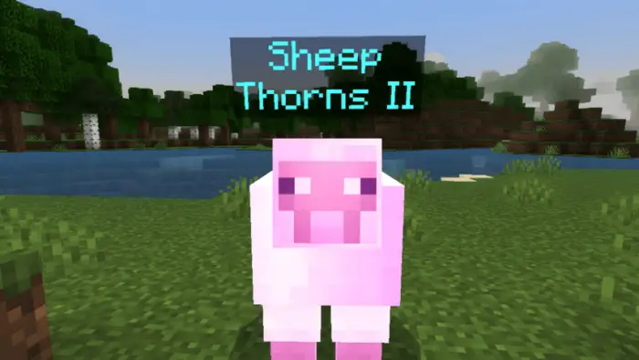 Pink sheep with Thorns II enchantment