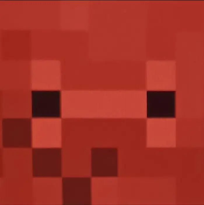 Pixelated happy red strider face close-up