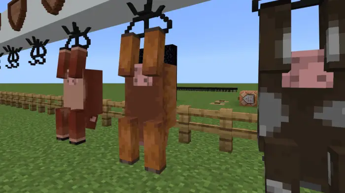 Animals hanging on hooks in a fenced yard