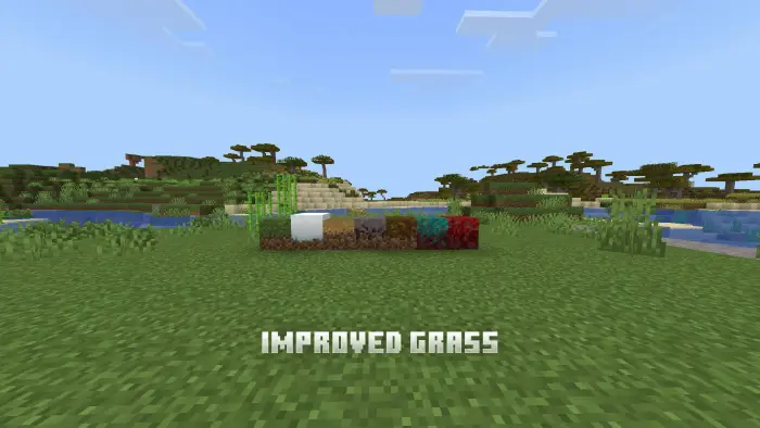 Various grass block textures in a grassy field