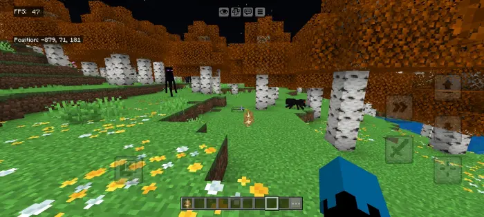 Vivid autumn forest with bright textures