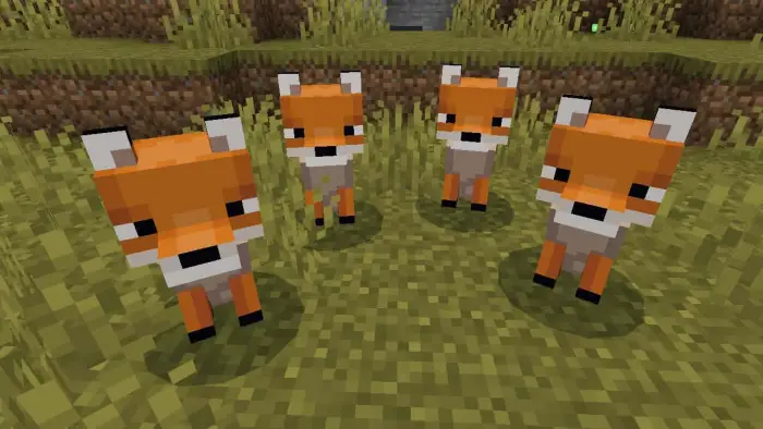 Four cute foxes with soft, smooth textures.